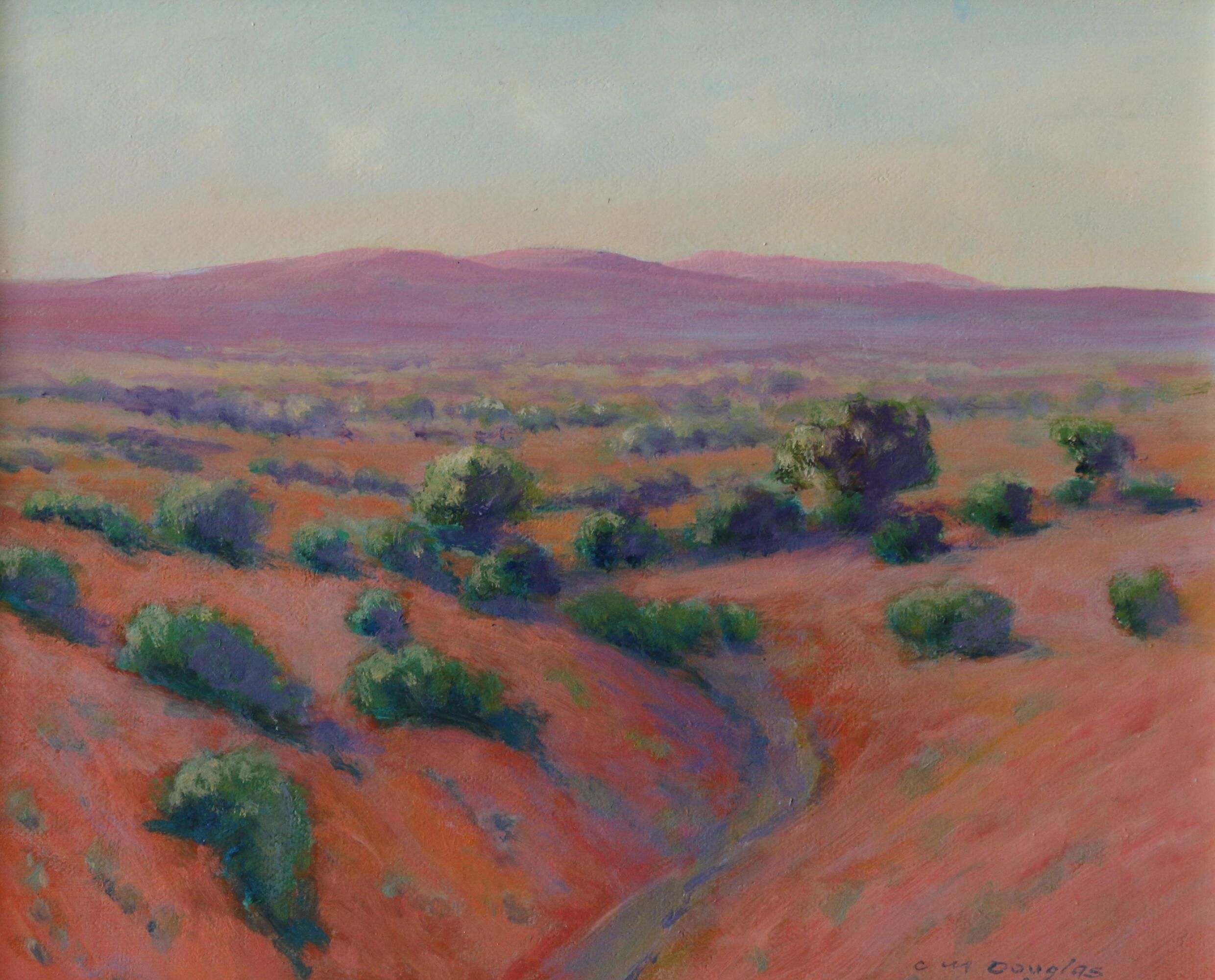 Dry Scrub South Australia (41h x47w) SOLD