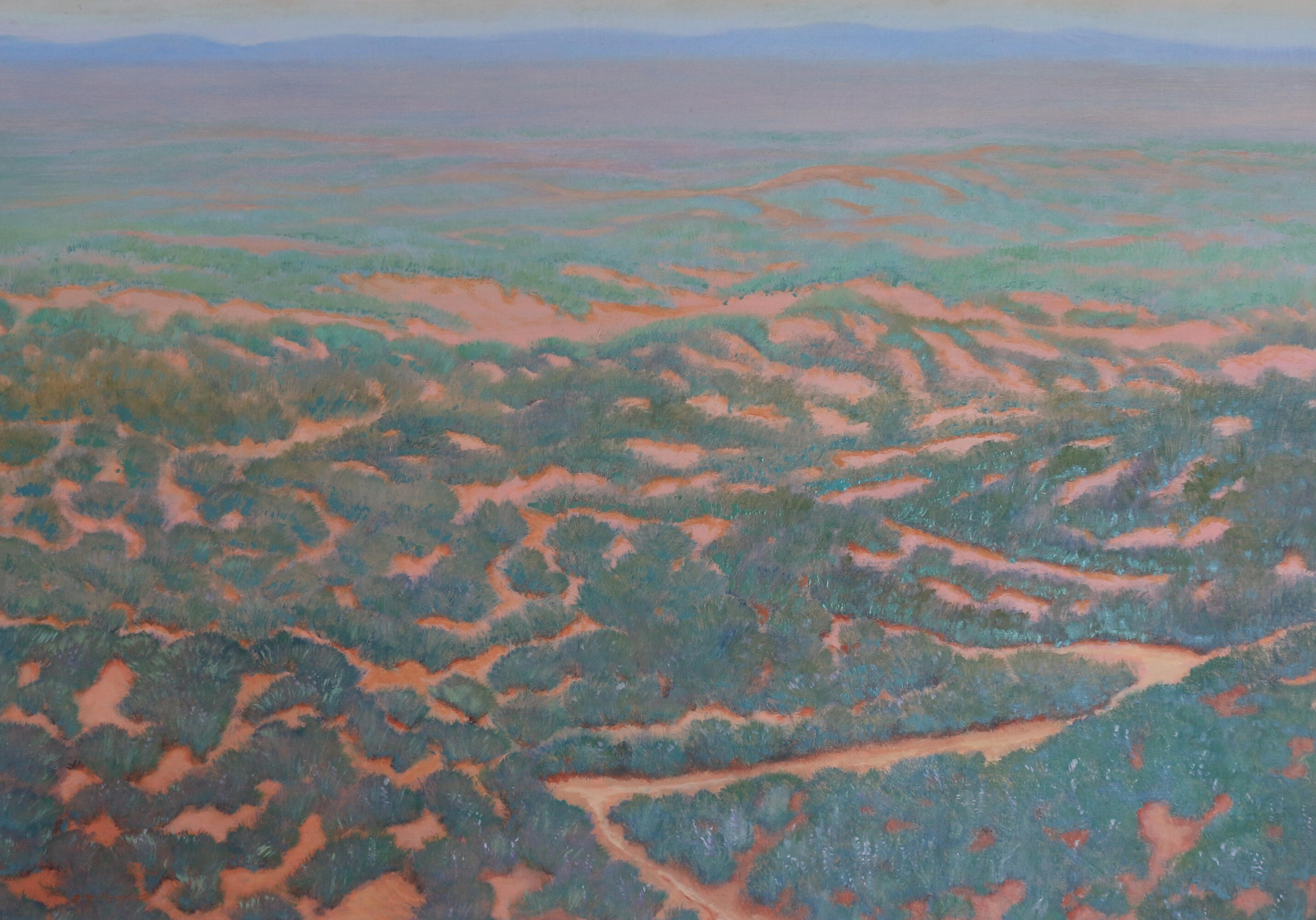 The Living Desert S.A. (75h x 103w) $2350 (SOLD)