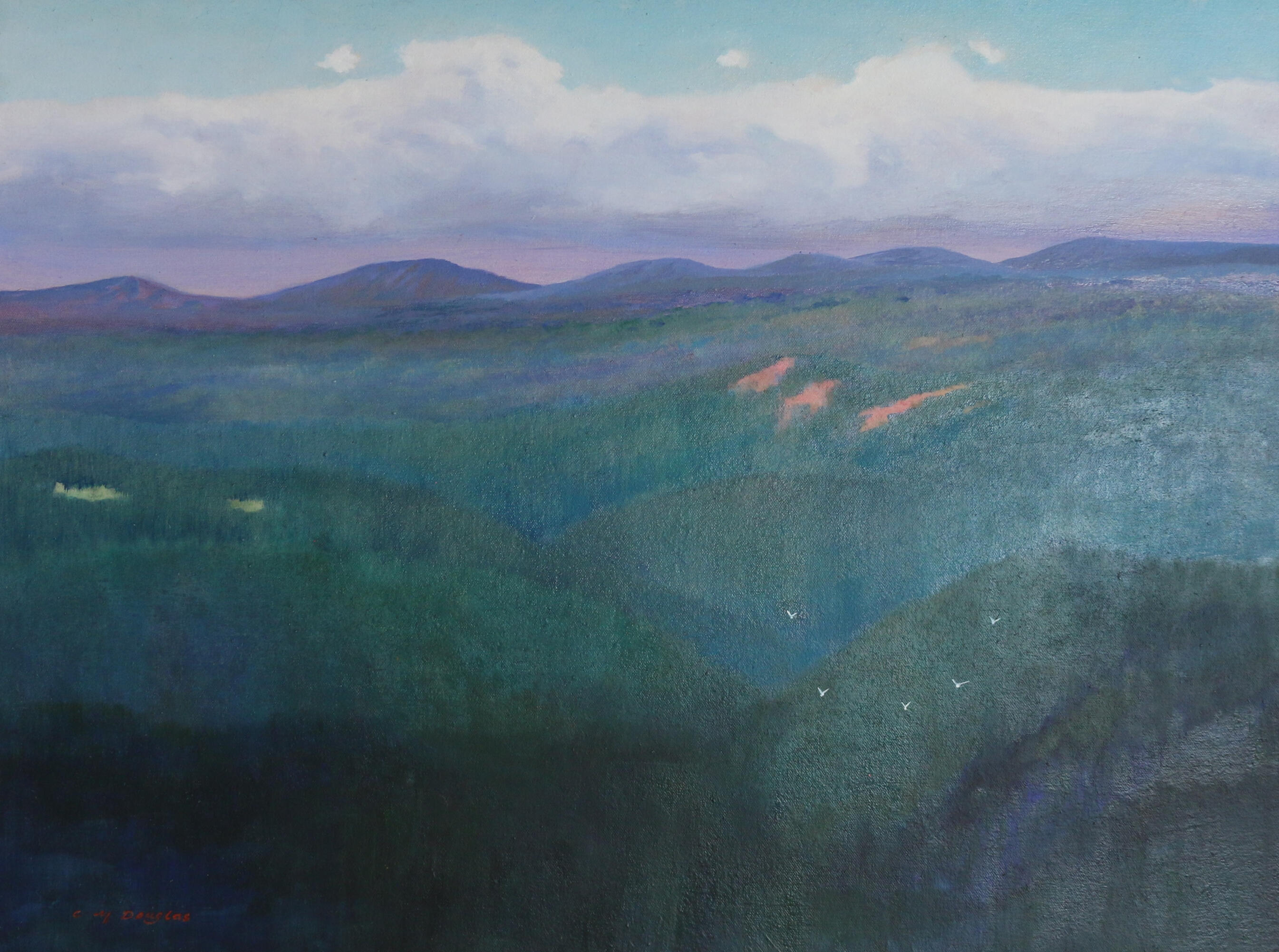 Snowy River National Park (63h x 82w) $1250