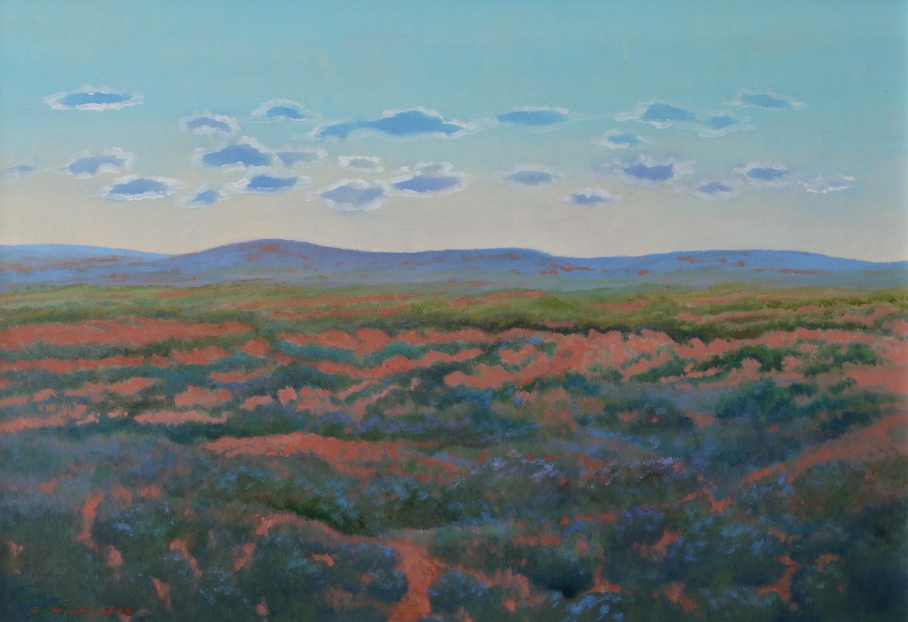 Hot Morning Outback S.A. (44h x 59w) $650